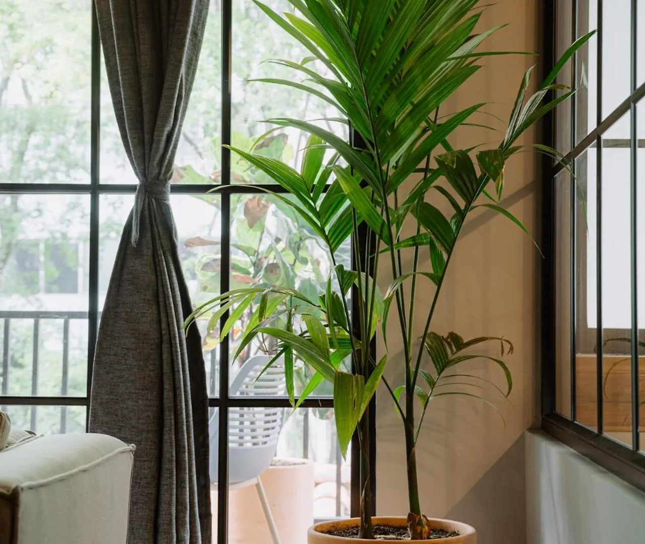 Apartasuite De Lujo Con Jacuzzi Privado El Poblado Medellín